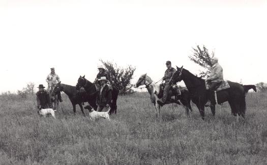 Horses with riders and dogs in the field
