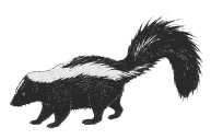Graphic of a Skunk!